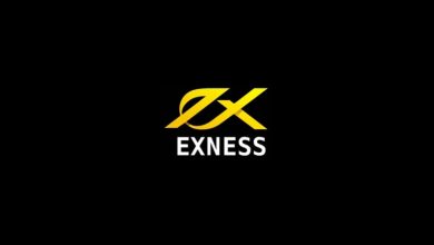 Photo of Review of EXNESS Group Trading Company