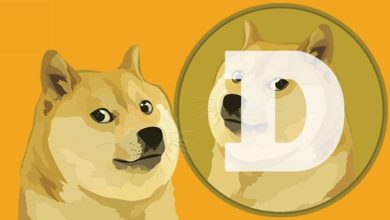 Photo of How Can You Buy The Dogecoin With The Help Of Coinbase?